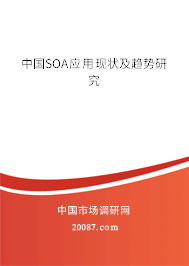 中国SOA应用现状及趋势研究