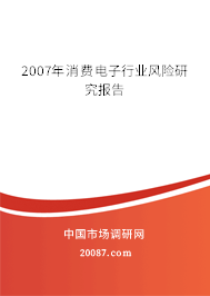 2007年消费电子行业风险研究报告 2007年消费电子行业风险研究报告