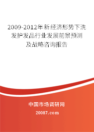 2009-2012年新经济形势下洗发护发品行业发展前景预测及战略咨询报告