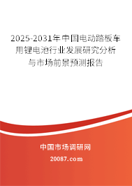2025-2031年中国电动踏板车用锂电池行业发展研究分析与市场前景预测报告