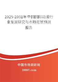 2025-2031年中国国际动漫行业发展研究与市场前景预测报告