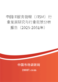 中国IT服务管理（ITSM）行业发展研究与行业前景分析报告（2025-2031年）