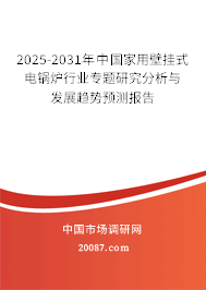 2025-2031年中国家用壁挂式电锅炉行业专题研究分析与发展趋势预测报告