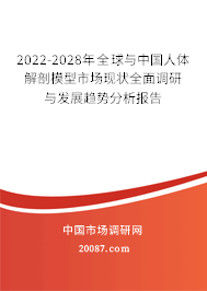 2022-2028年全球与中国人体解剖模型市场现状全面调研与发展趋势分析报告