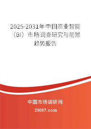 2025-2031年中国商业智能（BI）市场调查研究与前景趋势报告