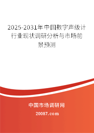 2025-2031年中国数字声级计行业现状调研分析与市场前景预测