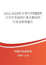 2022-2028年全球与中国图像引导手术器械行业全面调研与发展趋势报告