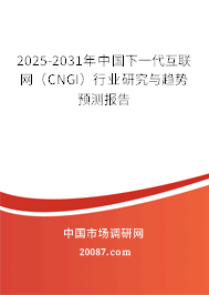 2025-2031年中国下一代互联网(CNGI)行业研究与趋势预测报告 2025-2031年中国下一代互联网(CNGI)行业研究与趋势预测报告