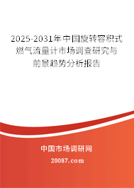 2025-2031年中国旋转容积式燃气流量计市场调查研究与前景趋势分析报告