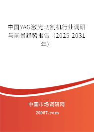 йYAGиҵǰƱ棨2023-2029꣩