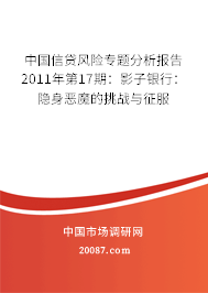 中国信贷风险专题分析报告2011年第17期：影子银行：隐身恶魔的挑战与征服