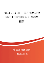 2024-2030年中国左卡尼汀制剂行业市场调研与前景趋势报告