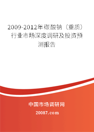 2009-2012年碳酸钠（重质）行业市场深度调研及投资预测报告