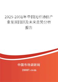 2025-2031年中国光纤通信产业发展回顾及未来走势分析报告