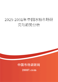 2024-2030年中国冰袖市场研究与趋势分析