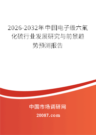 2026-2032年中国电子级六氟化硫行业发展研究与前景趋势预测报告