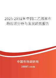 2025-2031年中国二乙烯苯市场现状分析与发展趋势报告
