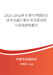 2025-2031年全球与中国高压清洗设备行业现状深度调研与发展趋势报告