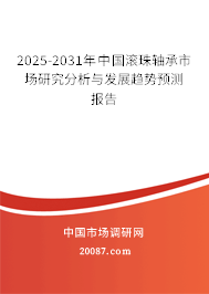 2025-2031年中国滚珠轴承市场研究分析与发展趋势预测报告