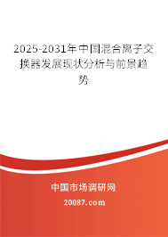 2025-2031年中国混合离子交换器发展现状分析与前景趋势