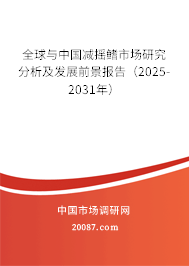 全球与中国减摇鳍市场研究分析及发展前景报告（2025-2031年）