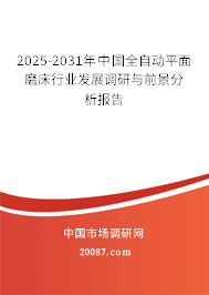 2025-2031年中国全自动平面磨床行业发展调研与前景分析报告