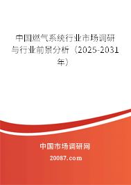 中国燃气系统行业市场调研与行业前景分析(2025-2031年) 中国燃气系统行业市场调研与行业前景分析(2025-2031年)