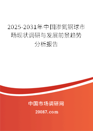 2025-2031年中国渗氮钢球市场现状调研与发展前景趋势分析报告 2025-2031年中国渗氮钢球市场现状调研与发展前景趋势分析报告