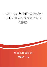 2025-2031年中国铁路信息化行业研究分析及发展趋势预测报告