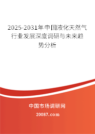 2025-2031年中国液化天然气行业发展深度调研与未来趋势分析