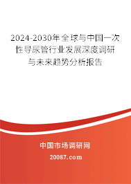 2024-2030年全球与中国一次性导尿管行业发展深度调研与未来趋势分析报告