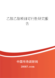 乙酸乙酯项目可行性研究报告 乙酸乙酯项目可行性研究报告