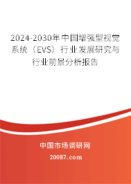 2024-2030年中国增强型视觉系统(EVS)行业发展研究与行业前景分析报告 2024-2030年中国增强型视觉系统(EVS)行业发展研究与行业前景分析报告