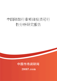 中国磷酸行业项目投资可行性分析研究报告