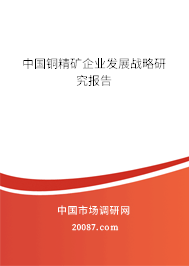 中国铜精矿企业发展战略研究报告 中国铜精矿企业发展战略研究报告