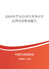 2009海尔电视机与竞争对手品牌调查数据报告