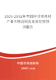 2025-2031年中国半导体片材产业市场调研及发展前景预测报告