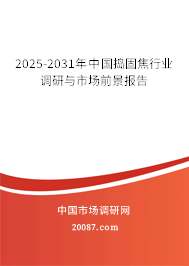 2025-2031年中国捣固焦行业调研与市场前景报告