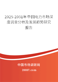 2025-2031年中国电力市场深度调查分析及发展趋势研究报告