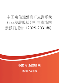 中国电信运营商IT支撑系统行业发展现状分析与市场前景预测报告（2025-2031年）