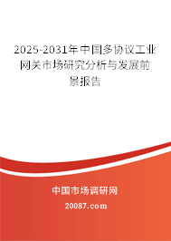 2025-2031年中国多协议工业网关市场研究分析与发展前景报告
