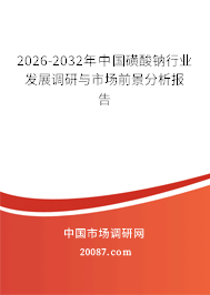 2026-2032年中国磺酸钠行业发展调研与市场前景分析报告 2026-2032年中国磺酸钠行业发展调研与市场前景分析报告