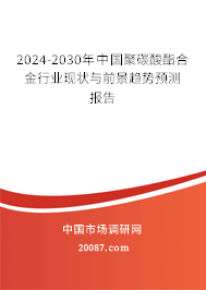2024-2030年中国聚碳酸酯合金行业现状与前景趋势预测报告