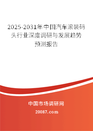 2025-2031年中国汽车滚装码头行业深度调研与发展趋势预测报告