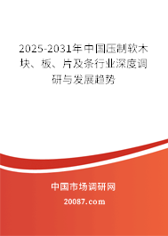 2025-2031年中国压制软木块、板、片及条行业深度调研与发展趋势