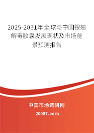 2025-2031年全球与中国银翘解毒胶囊发展现状及市场前景预测报告 2025-2031年全球与中国银翘解毒胶囊发展现状及市场前景预测报告