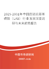 2025-2031年中国直链烷基苯磺酸（LAB）行业发展深度调研与未来趋势报告