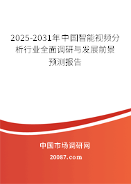 2025-2031年中国智能视频分析行业全面调研与发展前景预测报告