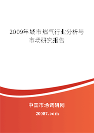 2009年城市燃气行业分析与市场研究报告