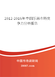 2012-2016年中国乐器市场竞争力分析报告